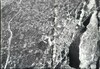 784-Thumbnail Image.jpg
